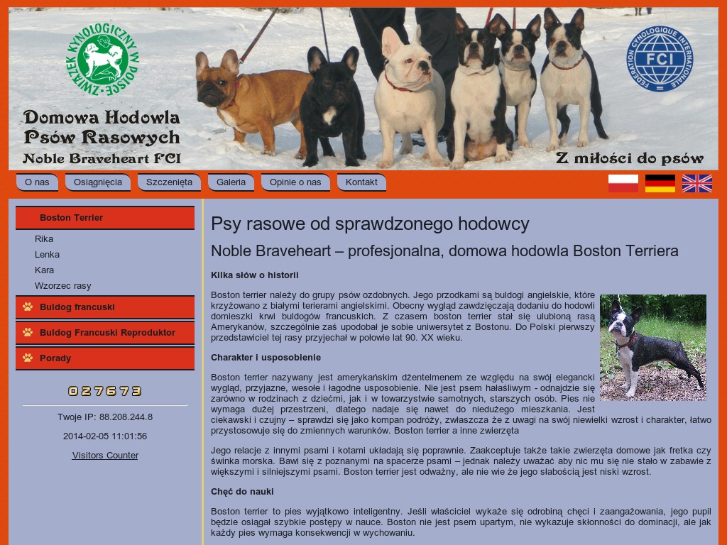 http://www.noblebraveheart.pl/boston-terrier